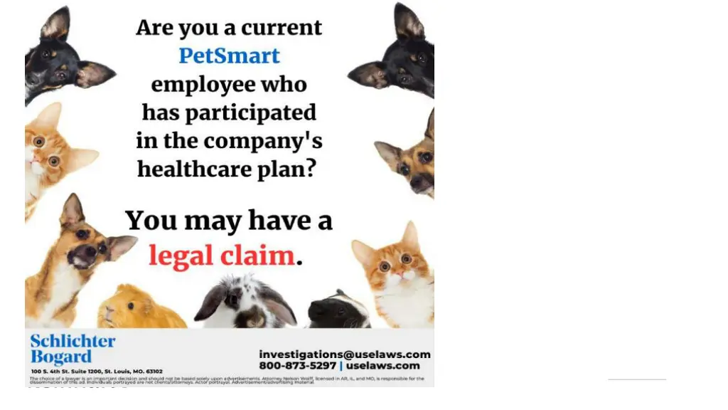slide17