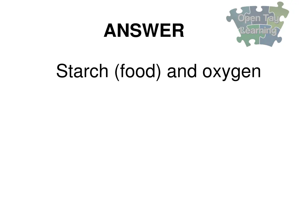 answer 5
