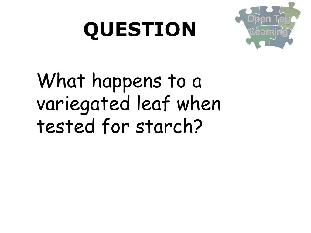 question 16