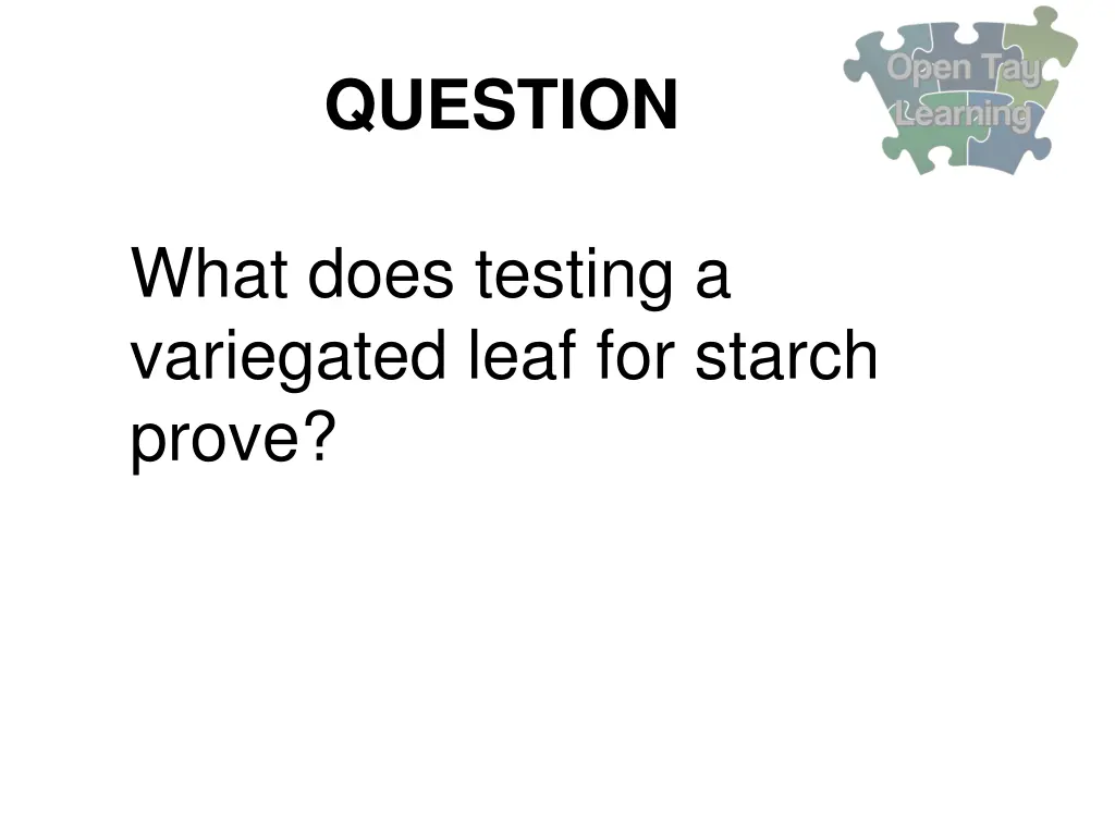 question 17
