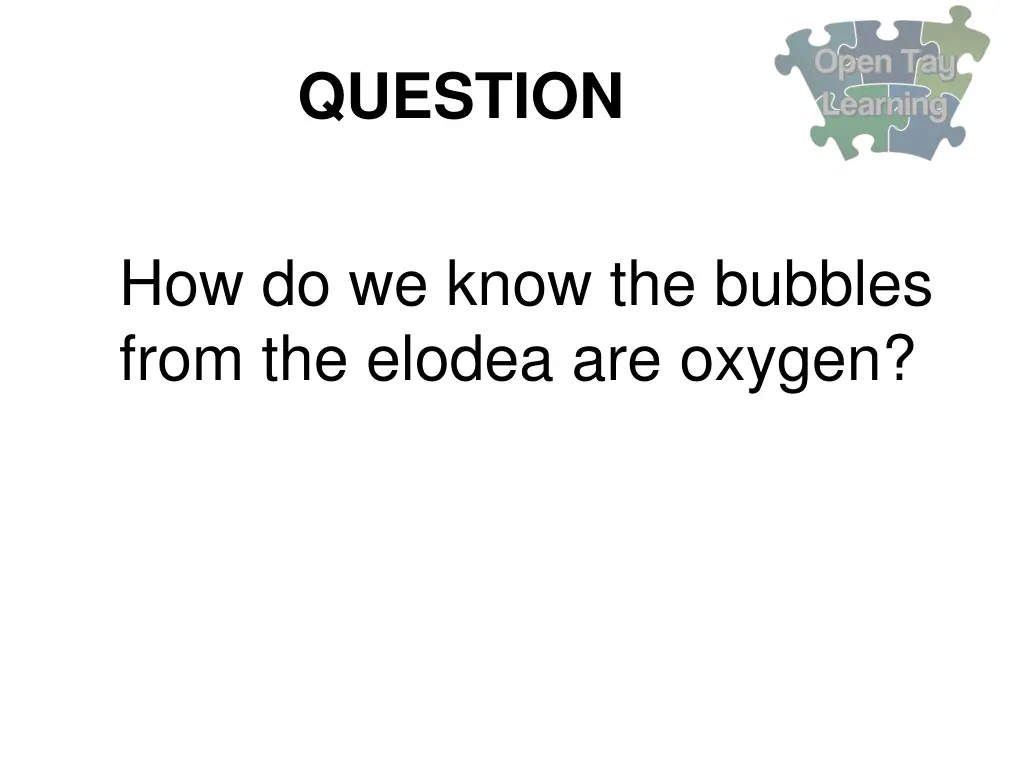 question 19