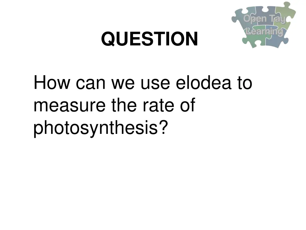 question 20