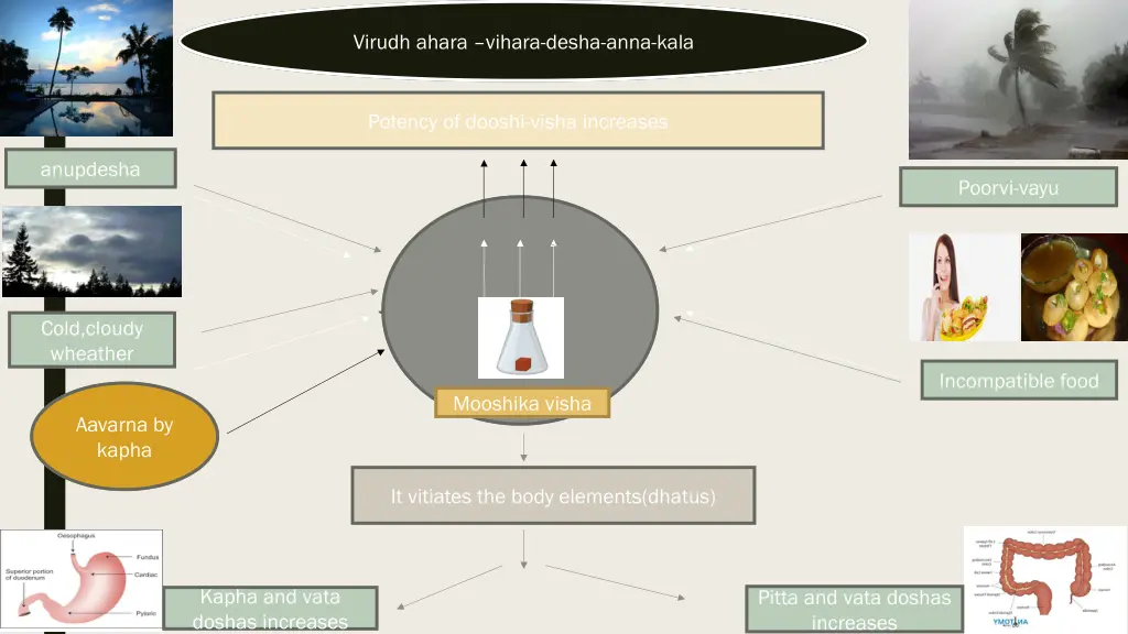 virudh ahara vihara desha anna kala
