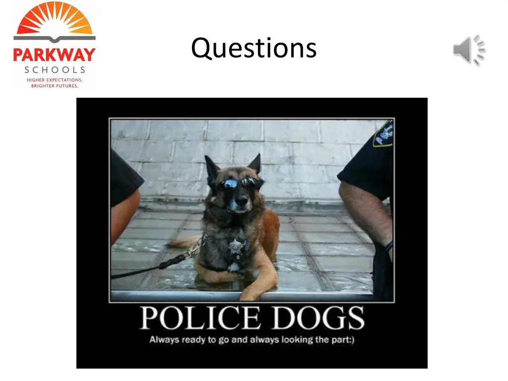 questions