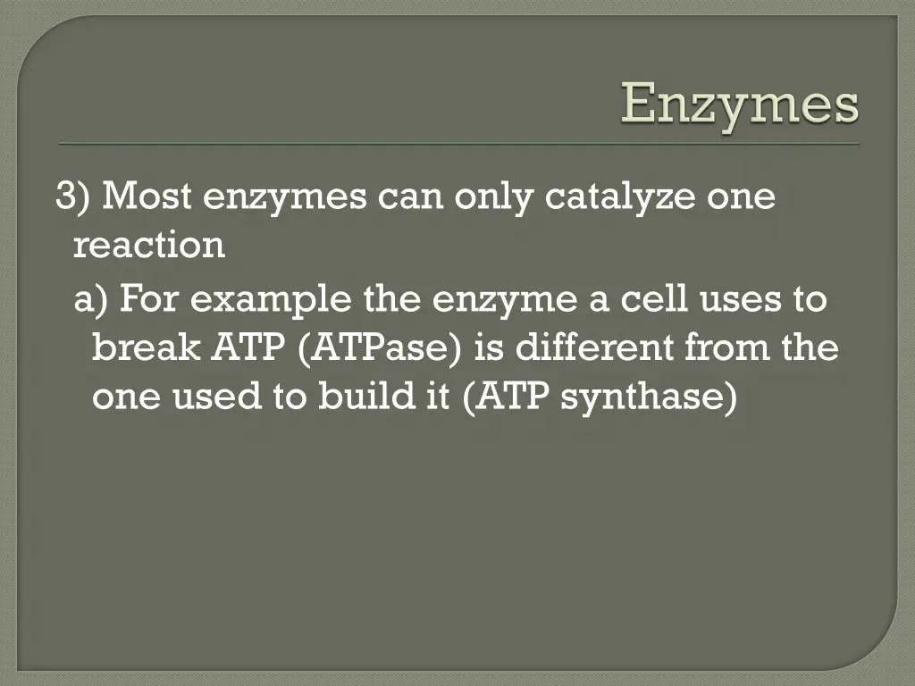 3 most enzymes can only catalyze one reaction