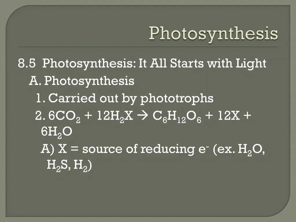 8 5 photosynthesis it all starts with light
