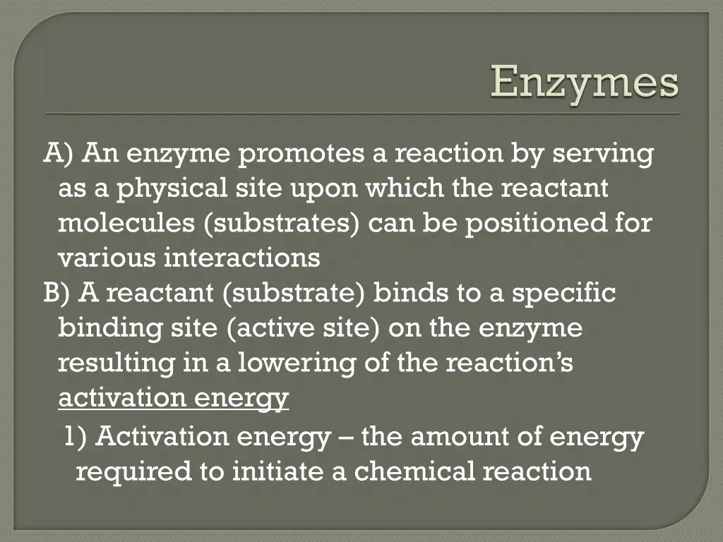 a an enzyme promotes a reaction by serving
