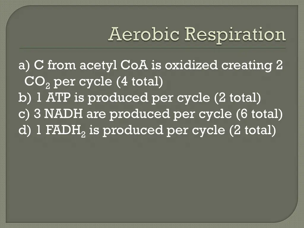 a c from acetyl coa is oxidized creating