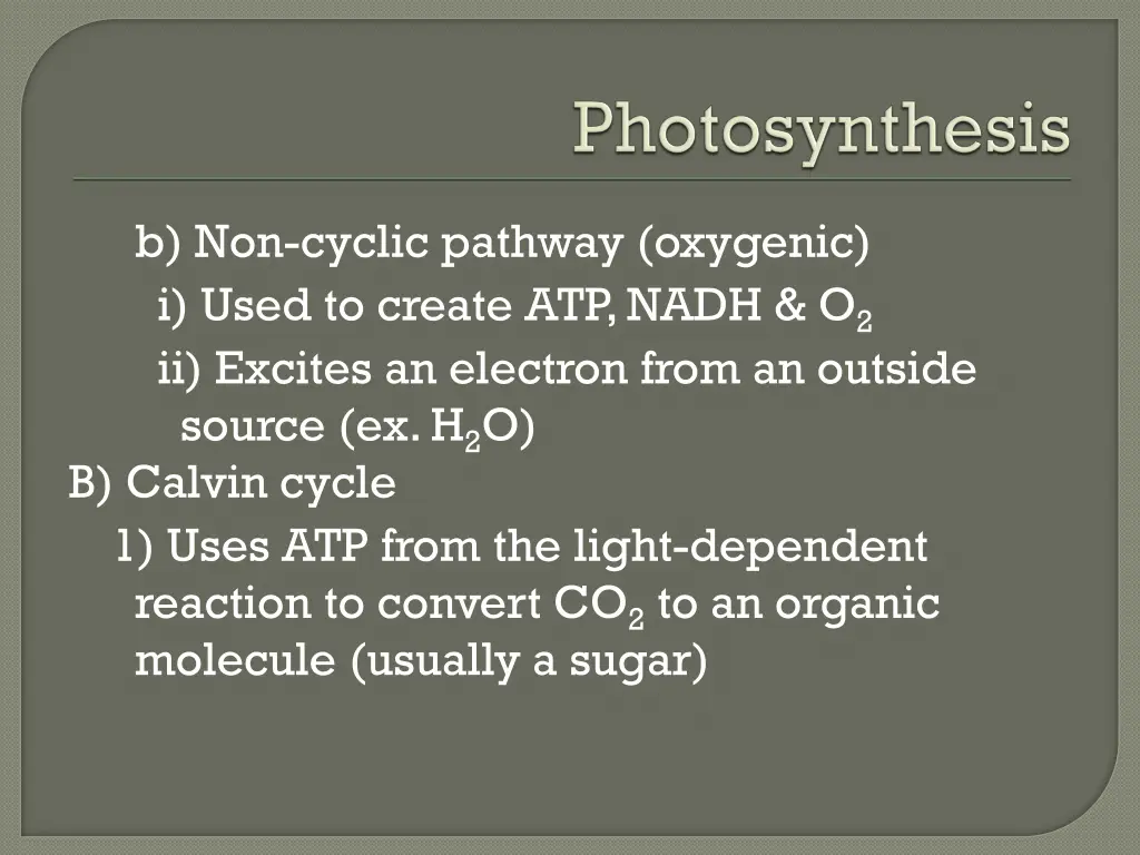 b non cyclic pathway oxygenic i used to create