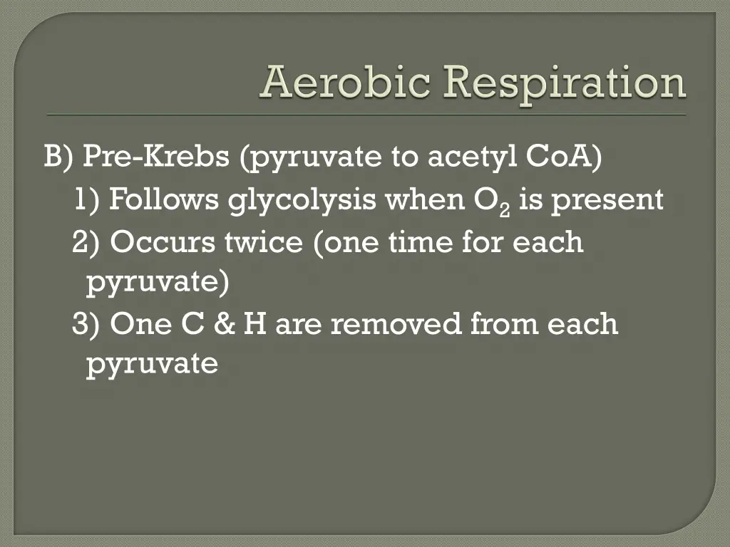 b pre krebs pyruvate to acetyl coa 1 follows