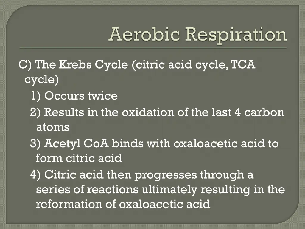 c the krebs cycle citric acid cycle tca cycle