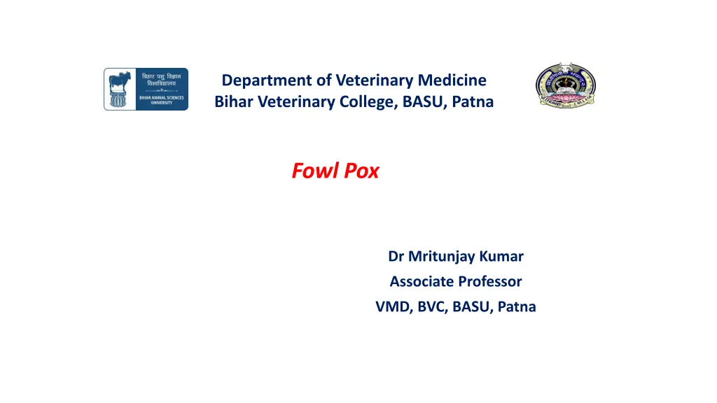 department of veterinary medicine bihar