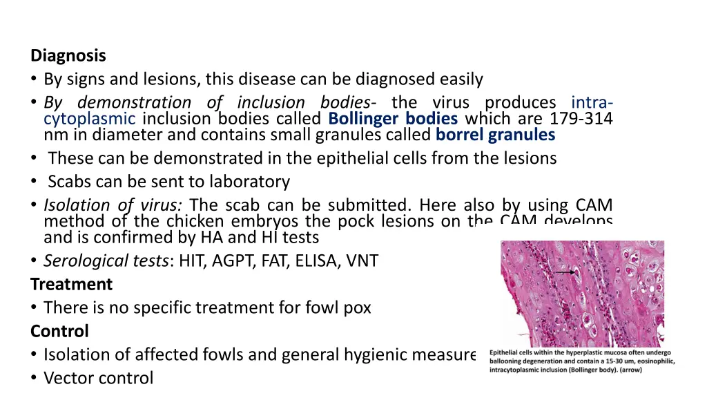 diagnosis by signs and lesions this disease