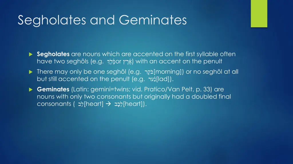 segholates and geminates