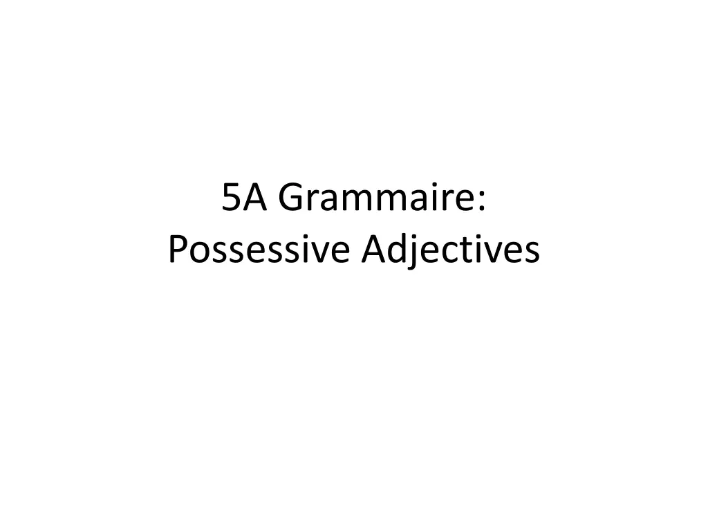5a grammaire possessive adjectives