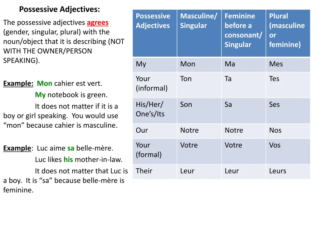 possessive adjectives