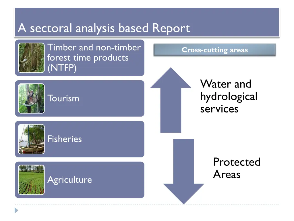 a sectoral analysis based report
