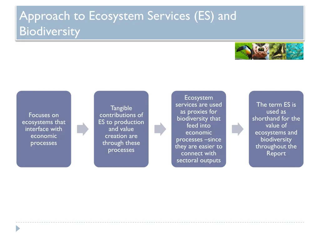 approach to ecosystem services es and biodiversity