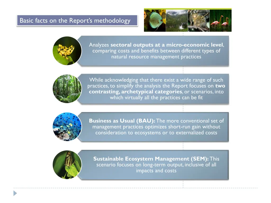 basic facts on the report s methodology