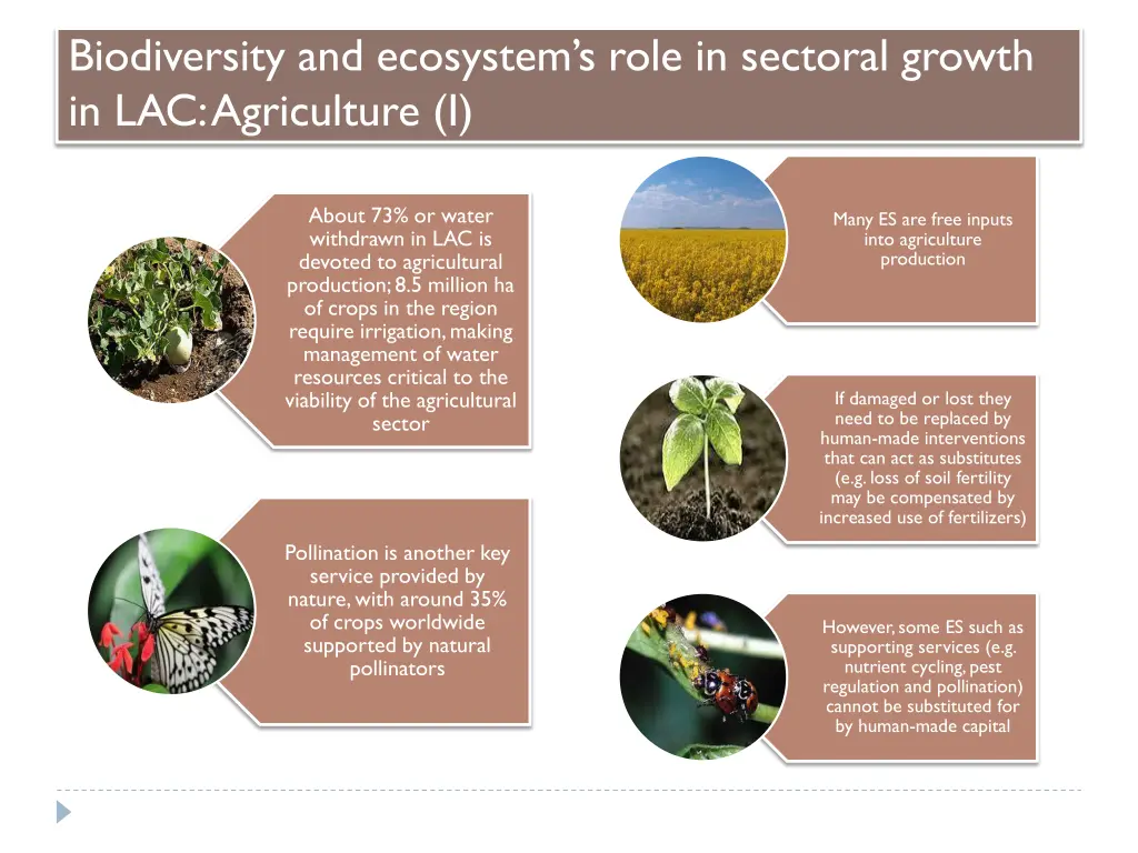 biodiversity and ecosystem s role in sectoral