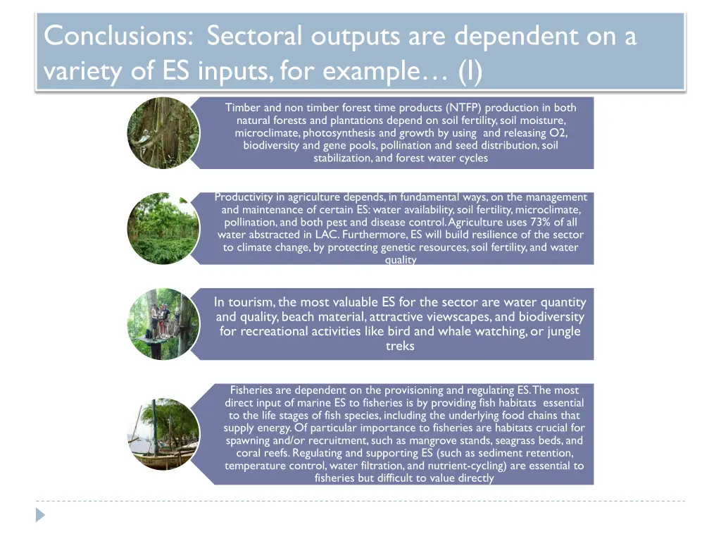 conclusions sectoral outputs are dependent