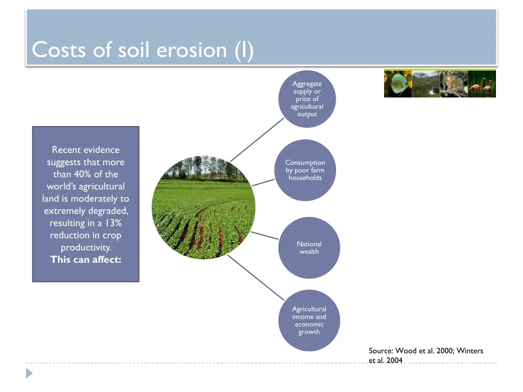 costs of soil erosion i