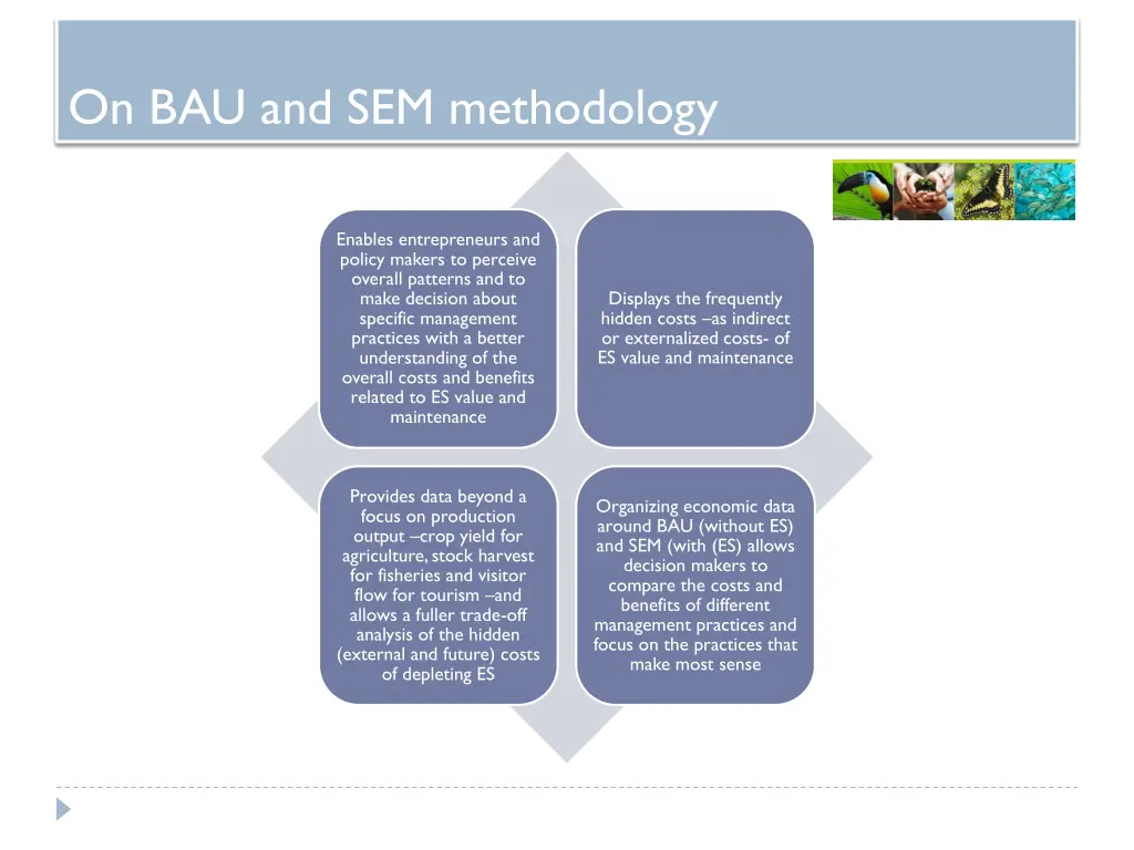 on bau and sem methodology
