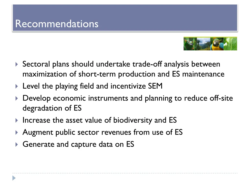 recommendations