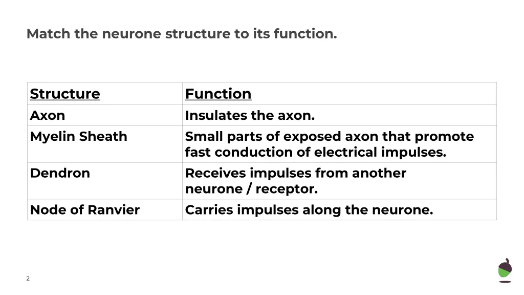 match the neurone structure to its function