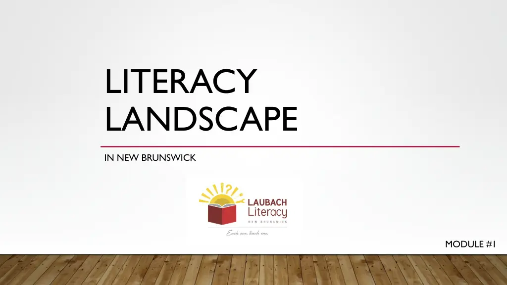 literacy landscape