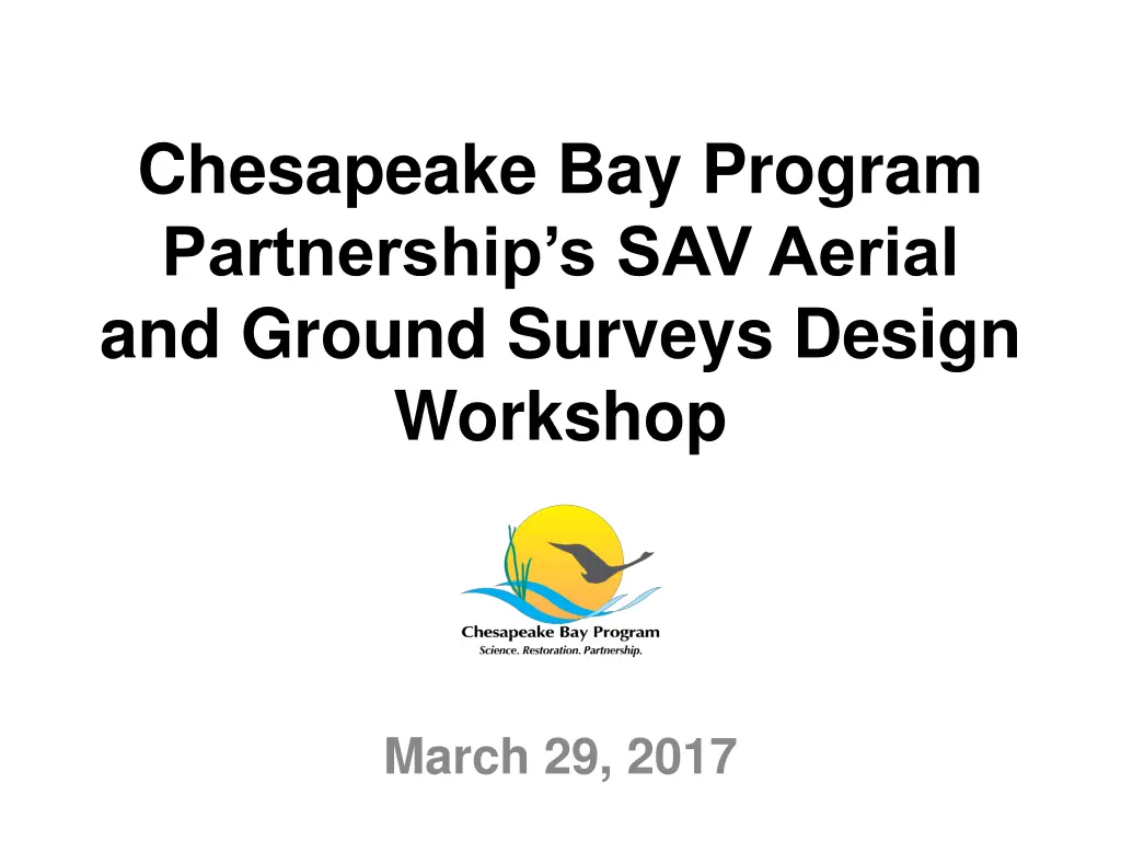 chesapeake bay program partnership s sav aerial