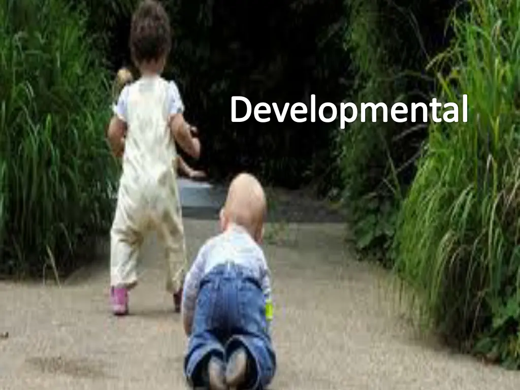 developmental