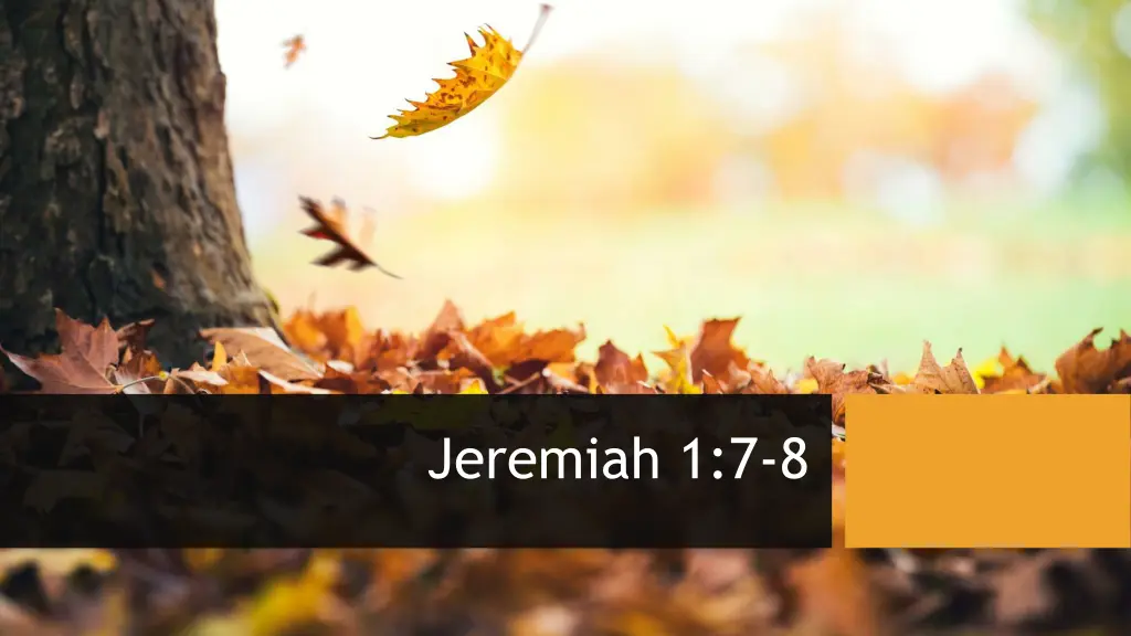 jeremiah 1 7 8