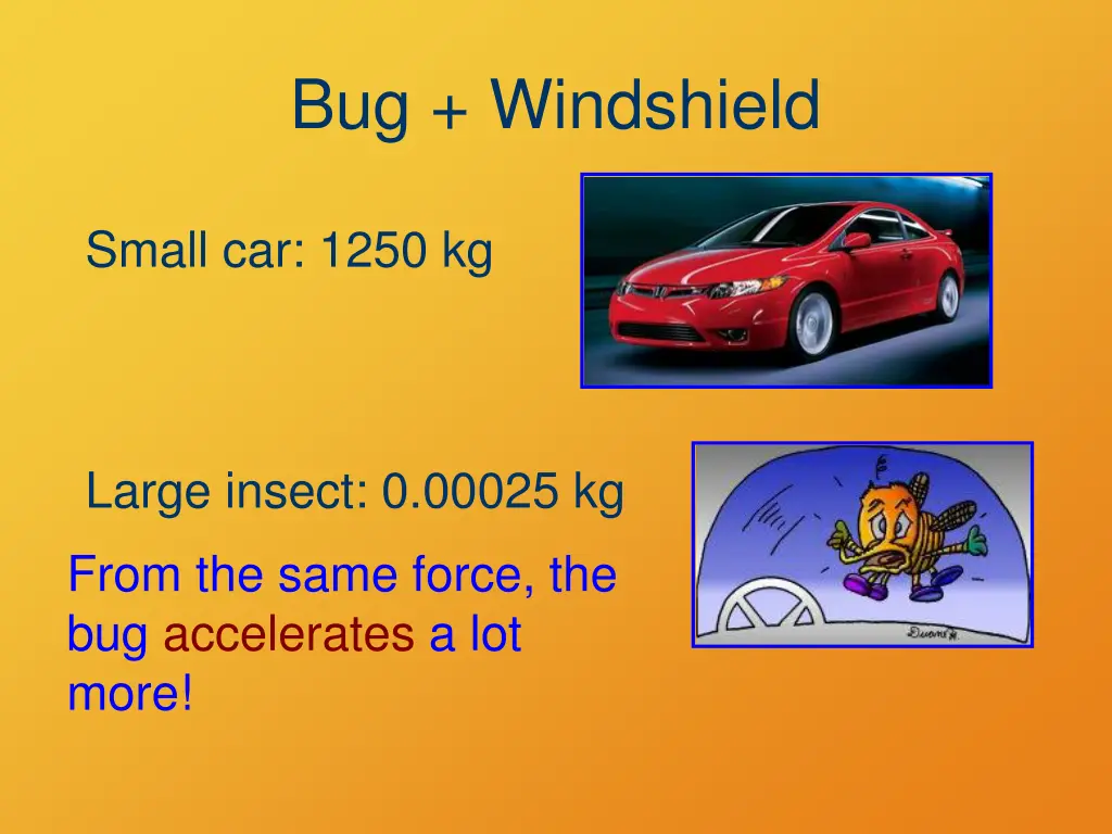 bug windshield