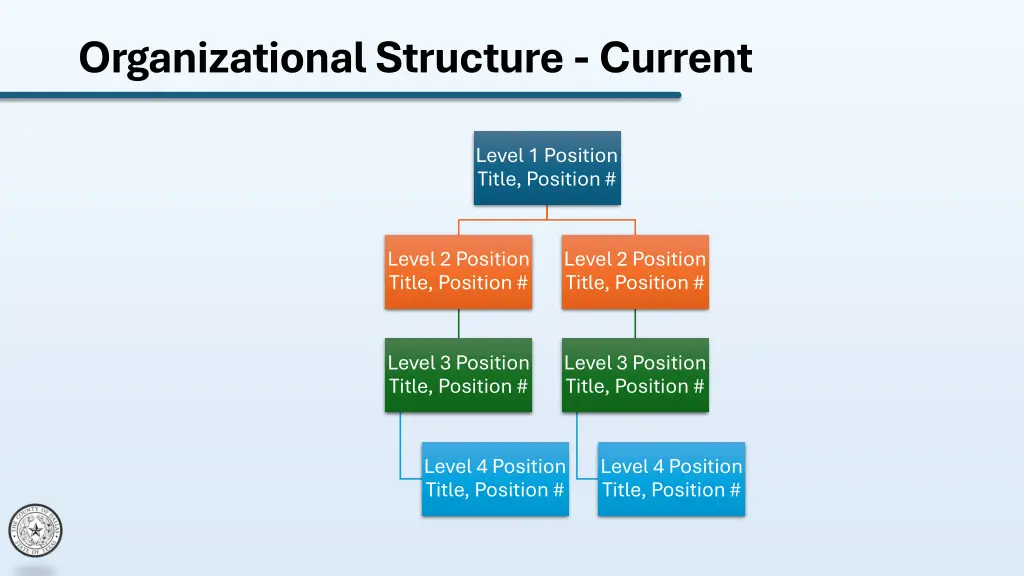 organizational structure current