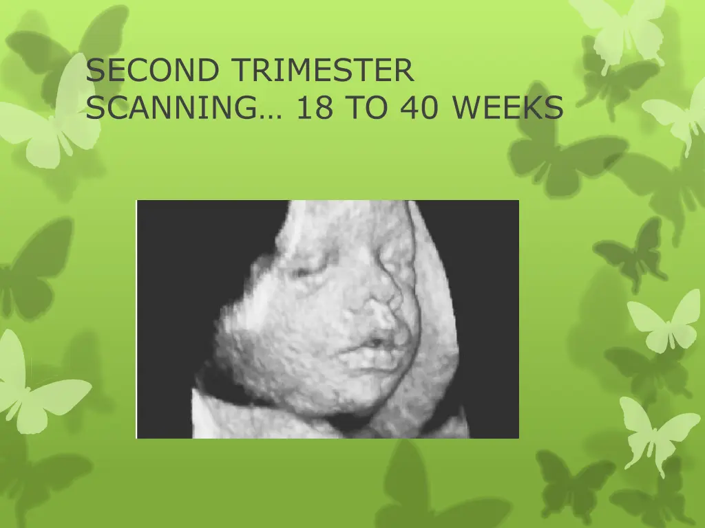 second trimester scanning 18 to 40 weeks