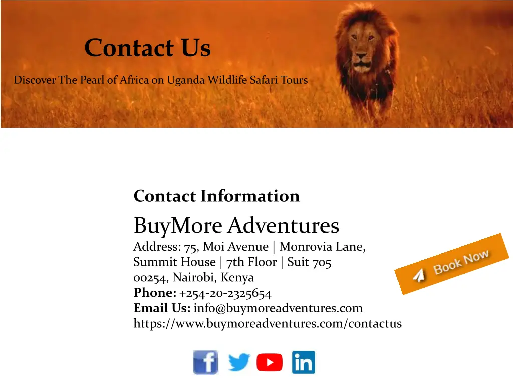 contact us