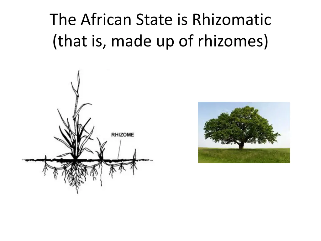 the african state is rhizomatic that is made