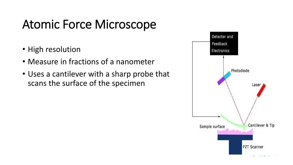 atomic force microscope atomic force microscope