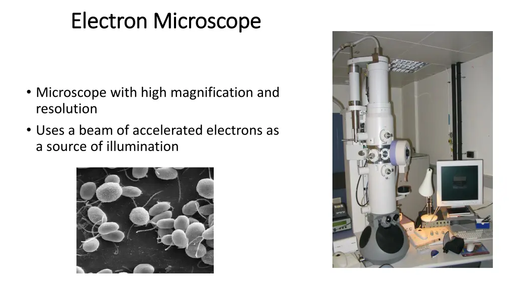 electron microscope electron microscope