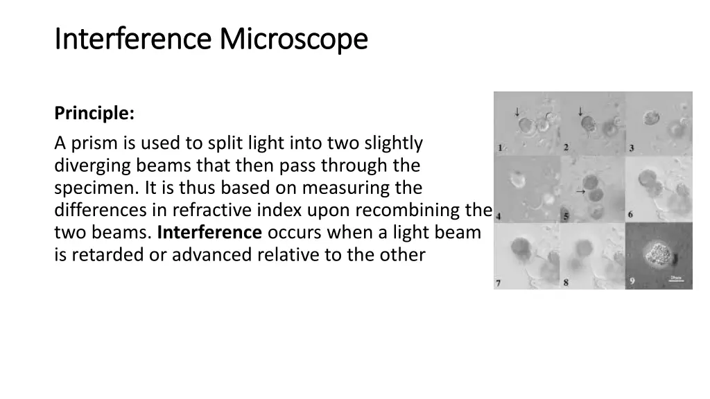 interference microscope interference microscope