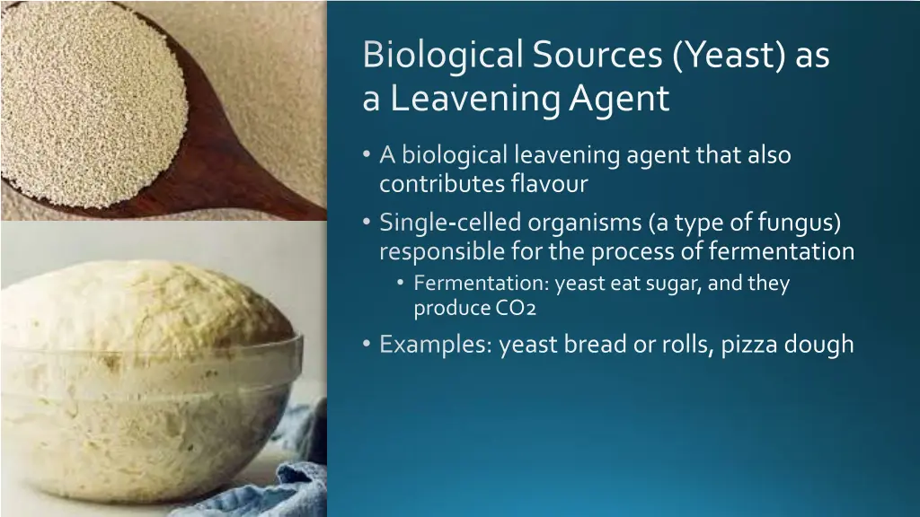 biological sources yeast as a leavening agent