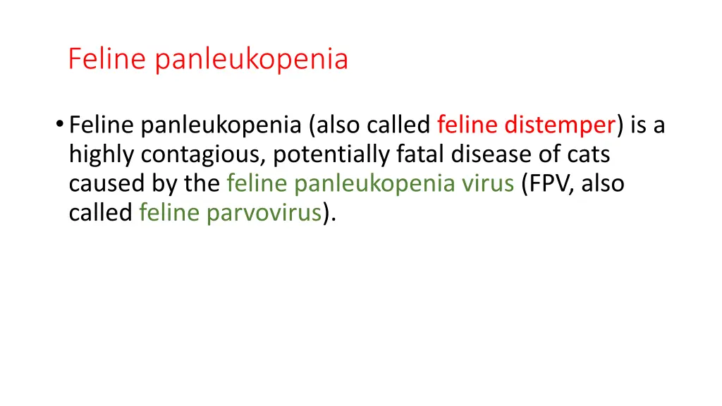 feline panleukopenia