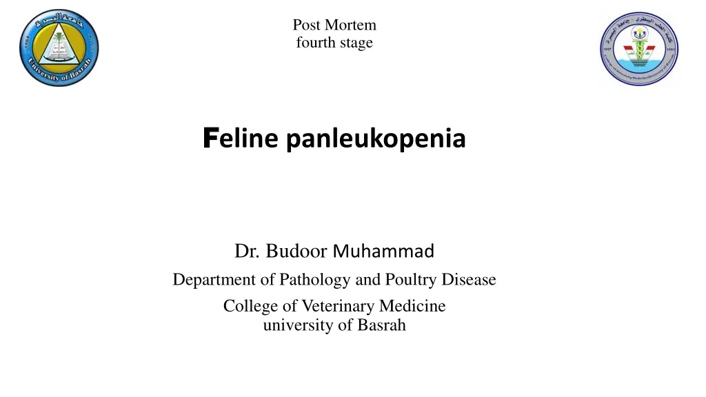 post mortem fourth stage