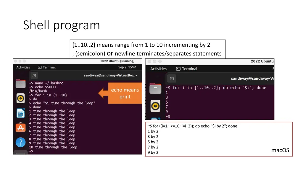 shell program