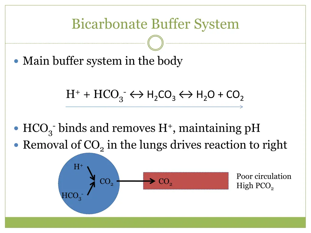 bicarbonate buffer system