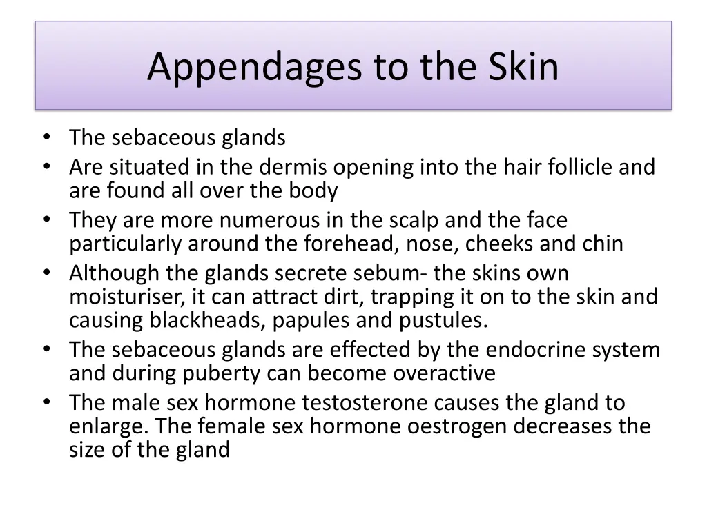 appendages to the skin