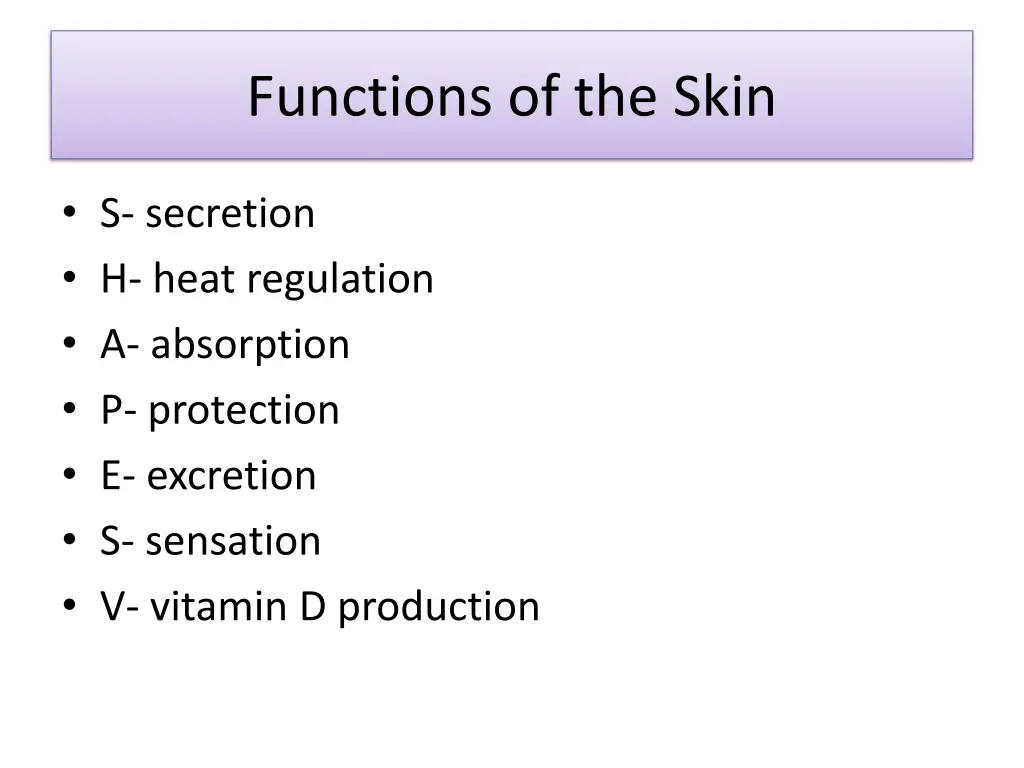 functions of the skin