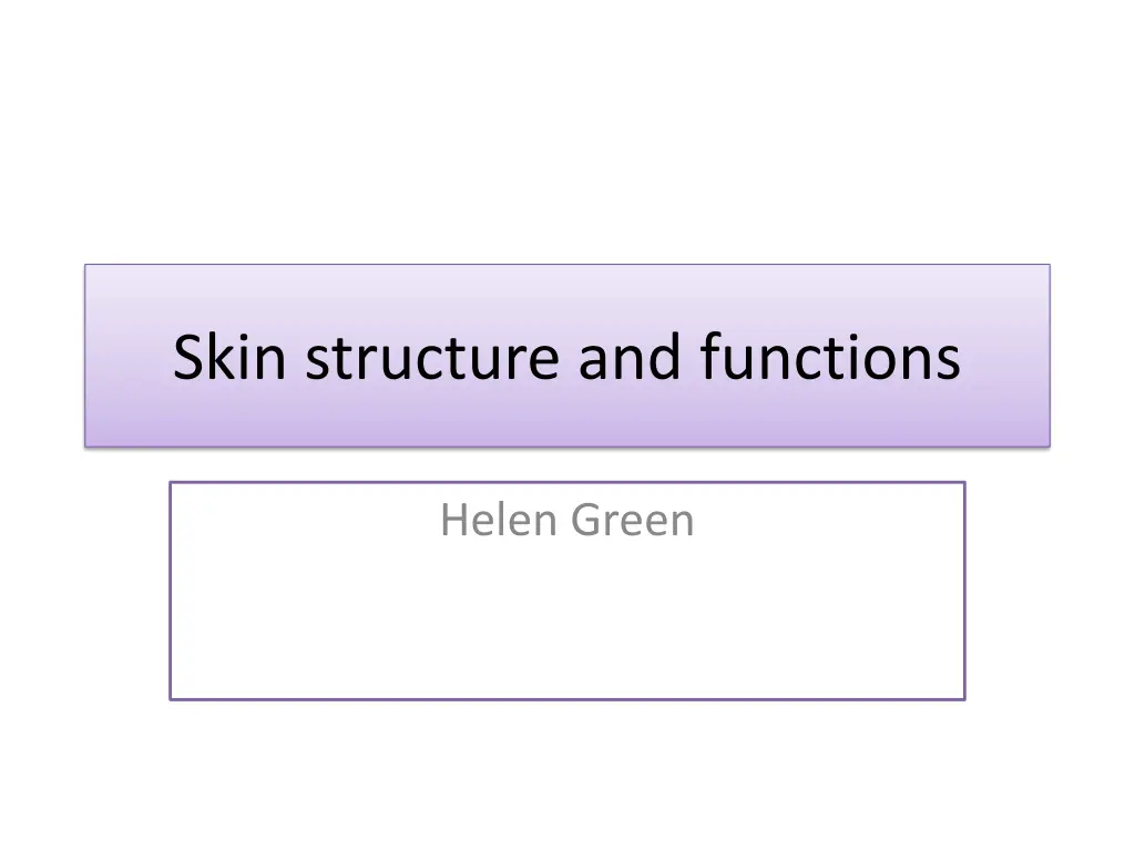 skin structure and functions