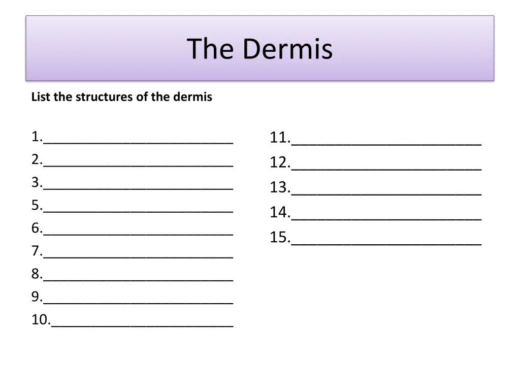 the dermis